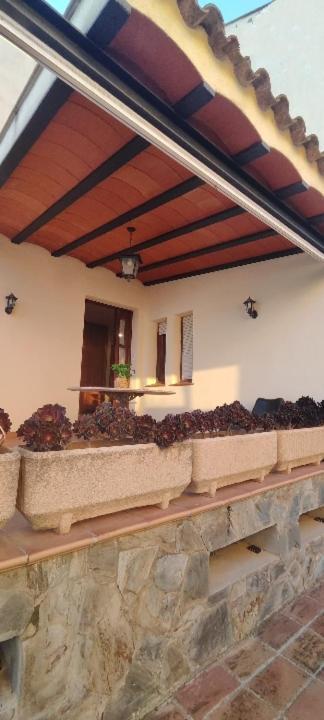 Sant Cugat de Sesgarrigues Cal Llop 빌라 외부 사진