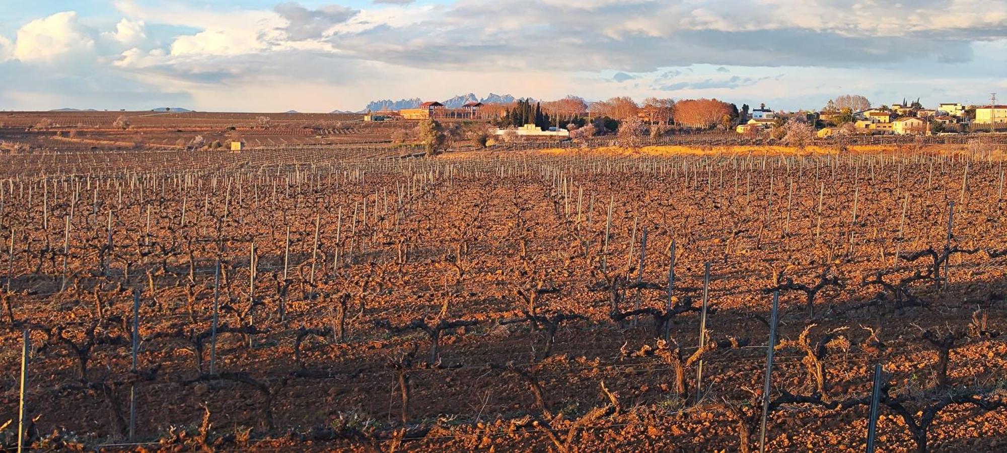 Sant Cugat de Sesgarrigues Cal Llop 빌라 외부 사진