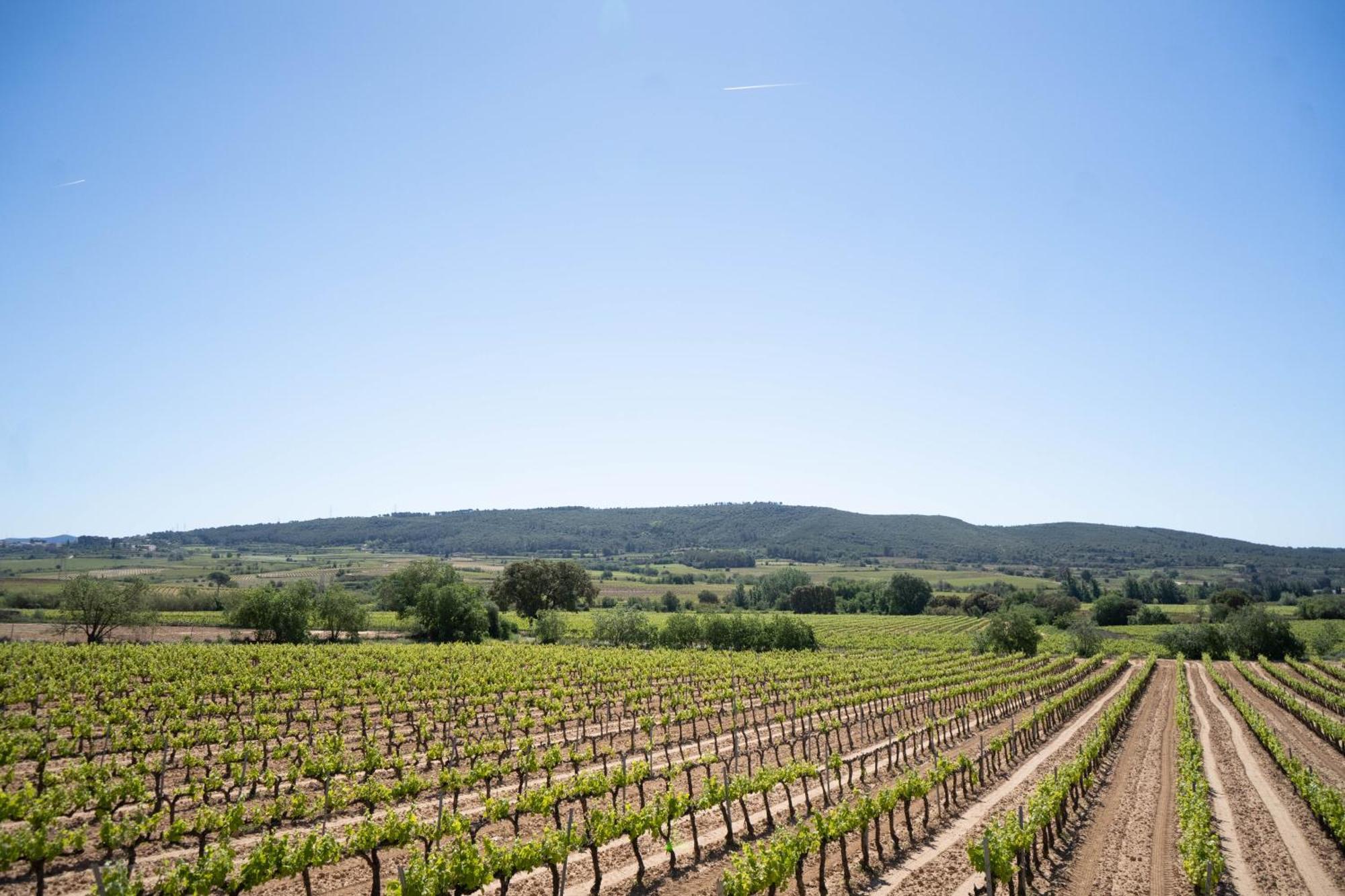 Sant Cugat de Sesgarrigues Cal Llop 빌라 외부 사진